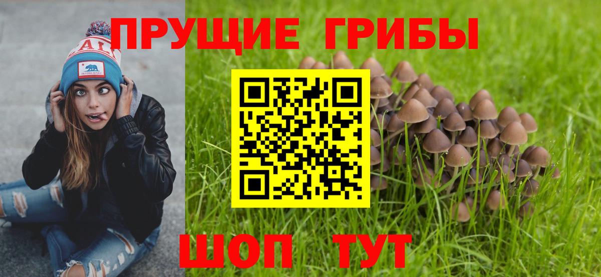 COCAIN Серпухов