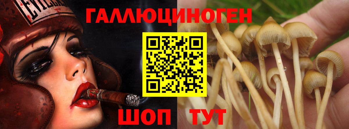 Псилоцибиновые грибы ЛСД  наркота  Вход с VPN  Серпухов  Псилоцибиновые грибы MAGIC MUSHROOMS 